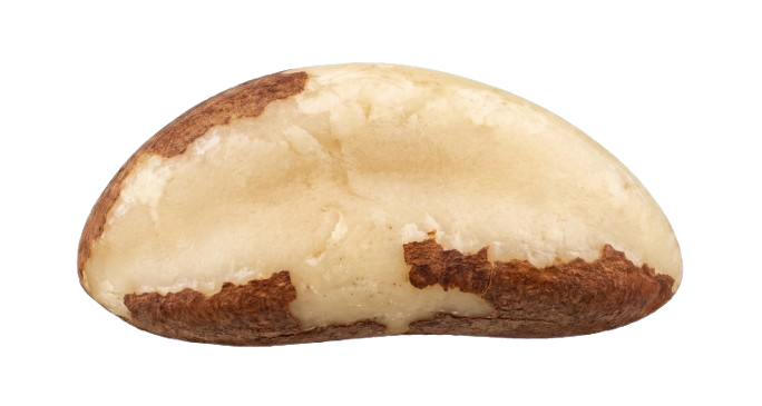 Brazilian Nut