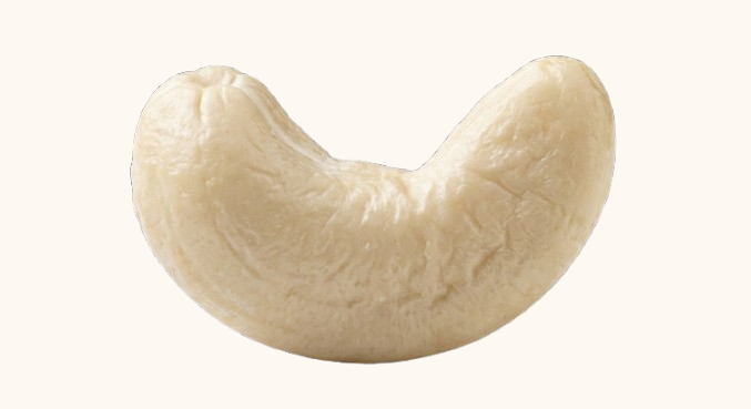 Cashew