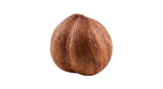 Hazelnut